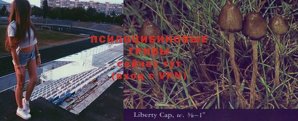 бутират Лагань