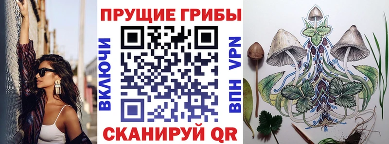 Галлюциногенные грибы мухоморы  Купить закладки  Малмыж 